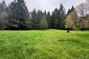 23939 Raze Rd, Elmira, OR 97437 - Photo 38