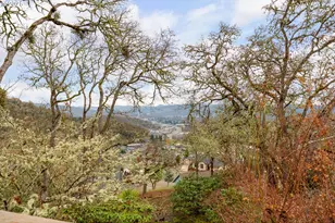 171 NW Rachel Lynn Wy, Roseburg, OR 97471 - Photo 30