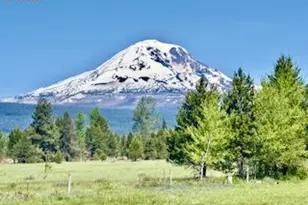 1684 Bz Glenwood Hwy, Glenwood, WA 98619 - Photo 34