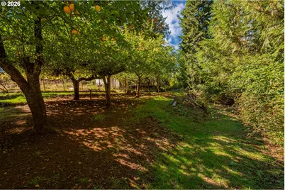 36690 Parsons Creek Rd, Springfield, OR 97478 - Photo 38