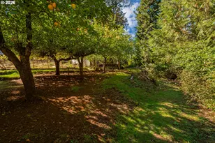 36690 Parsons Creek Rd, Springfield, OR 97478 - Photo 38