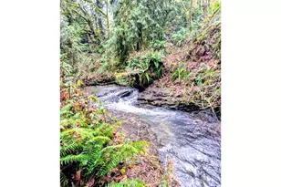 2549 Hazel Dell Rd, Castle Rock, WA 98611 - Photo 36