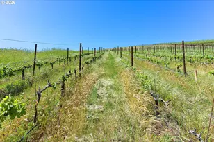 5073 Chenoweth Rd, The Dalles, OR 97058 - Photo 28
