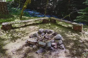 77480 E Road 35B, Government Camp, OR 97028 - Photo 40