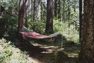 77480 E Road 35B, Government Camp, OR 97028 - Photo 38
