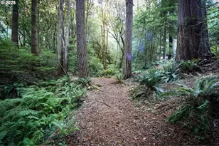 1107 Winchuck River Rd, Brookings, OR 97415 - Photo 24