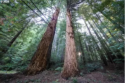 1107 Winchuck River Rd, Brookings, OR 97415 - Photo 28