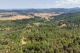 895 Mulberry Ln, Roseburg, OR 97471 - Photo 38