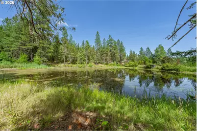 895 Mulberry Ln, Roseburg, OR 97471 - Photo 34