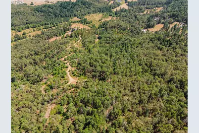 895 Mulberry Ln, Roseburg, OR 97471 - Photo 24