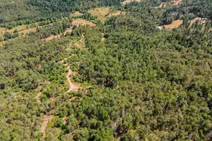 895 Mulberry Ln, Roseburg, OR 97471 - Photo 24