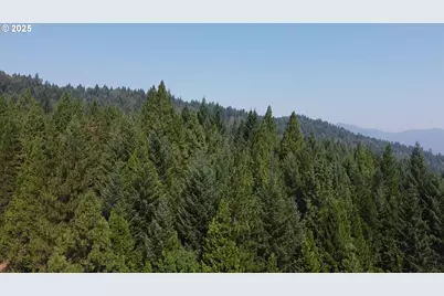 911 Tunnel Rd, Glendale, OR 97442 - Photo 28