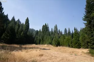 911 Tunnel Rd, Glendale, OR 97442 - Photo 18