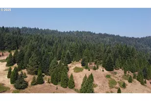 911 Tunnel Rd, Glendale, OR 97442 - Photo 18