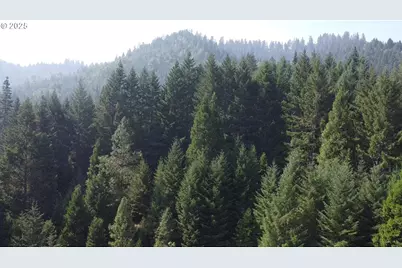 911 Tunnel Rd, Glendale, OR 97442 - Photo 24