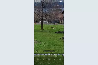 Mian St, Joseph, OR 97846 - Photo 4