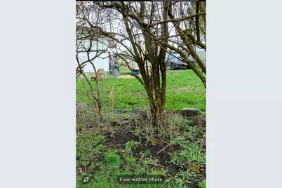 Mian St, Joseph, OR 97846 - Photo 6