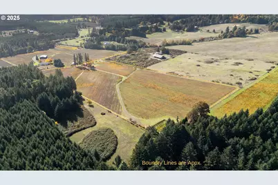 25219 High Pass Rd, Junction City, OR 97448 - Photo 12