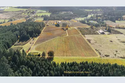 25219 High Pass Rd, Junction City, OR 97448 - Photo 1