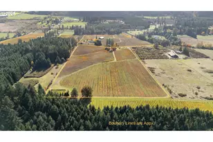 25219 High Pass Rd, Junction City, OR 97448 - Photo 1