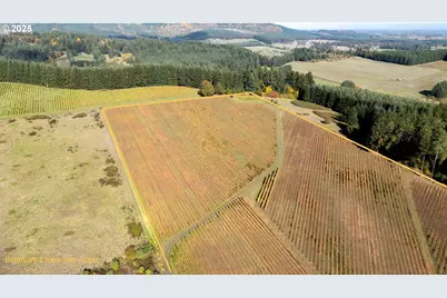 25219 High Pass Rd, Junction City, OR 97448 - Photo 8
