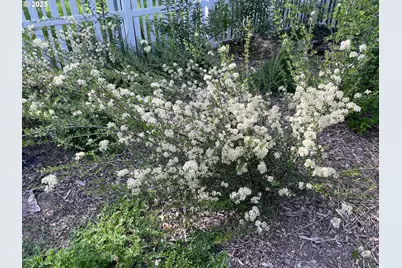 6675 NE Birch St, Hillsboro, OR 97124 - Photo 30