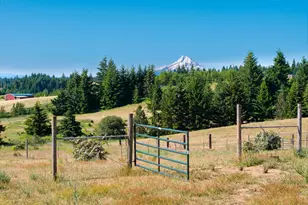 19 Kida Rd, White Salmon, WA 98672 - Photo 4