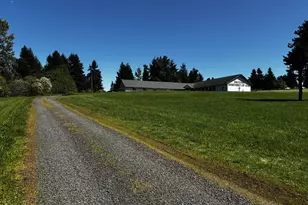 38520/38524 Hwy 226, Scio, OR 97374 - Photo 4