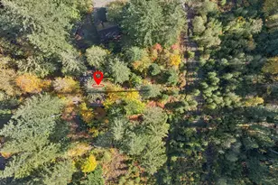 21820 E Ez Ln, Rhododendron, OR 97049 - Photo 14