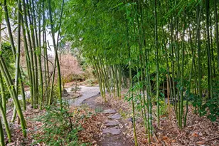 13635 SW Hall Blvd, Portland, OR 97223 - Photo 26