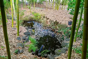 13635 SW Hall Blvd, Portland, OR 97223 - Photo 6