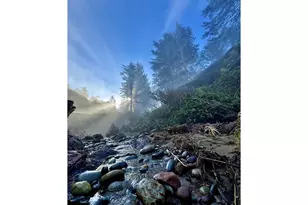 31640 Spruce Dr, Gold Beach, OR 97444 - Photo 44