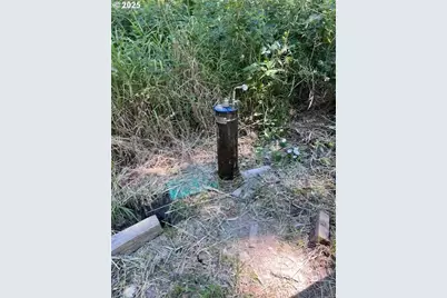 47980 NW Waldheim Way, Forest Grove, OR 97116 - Photo 38