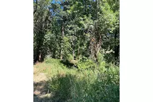 47980 NW Waldheim Way, Forest Grove, OR 97116 - Photo 30