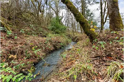 8148 Melqua Rd, Umpqua, OR 97486 - Photo 46