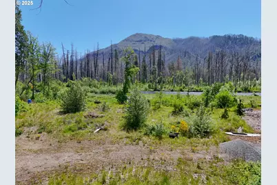 52958 McKenzie Hwy, Blue River, OR 97413 - Photo 2