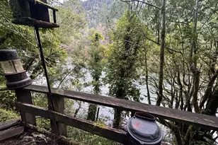 41574 Swinging Bridge Ln, Port Orford, OR 97465 - Photo 12