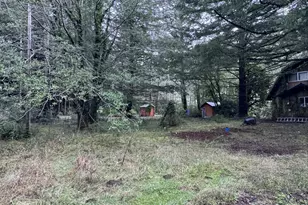 41574 Swinging Bridge Ln, Port Orford, OR 97465 - Photo 2