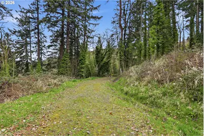 0 NW Pacific Hwy, Woodland, WA 98674 - Photo 10