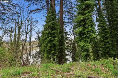 0 NW Pacific Hwy, Woodland, WA 98674 - Photo 8