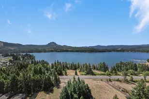 375 Marina Vista Dr, Lowell, OR 97452 - Photo 46