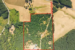 16250 NW Moores Valley Rd, Yamhill, OR 97148 - Photo 10