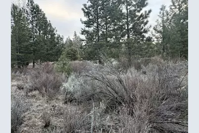 Cahuilla Circle #10, Chiloquin, OR 97624 - Photo 8