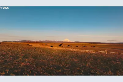 81127 Rail Hollow Rd, Dufur, OR 97021 - Photo 6