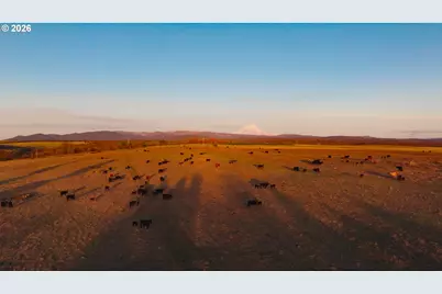 81127 Rail Hollow Rd, Dufur, OR 97021 - Photo 10