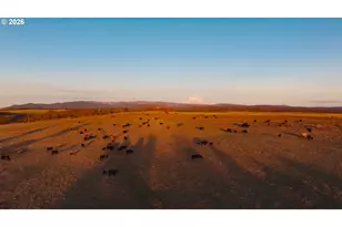 81127 Rail Hollow Rd, Dufur, OR 97021 - Photo 10