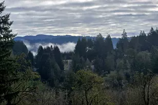 40405 NW Maple Ridge Rd, Woodland, WA 98674 - Photo 48