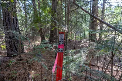 Fisher Hill, Appleton, WA 98602 - Photo 16