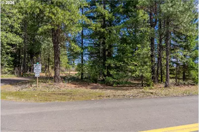 Fisher Hill, Appleton, WA 98602 - Photo 6
