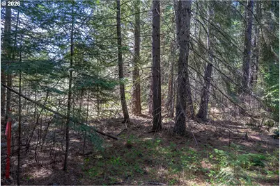 Fisher Hill, Appleton, WA 98602 - Photo 18